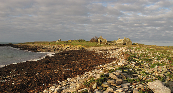 Île de Quéménès la ferme Iroise Finistère Brest Conquet Bretagne Ouessant Molène Hôtel Hébergement Tourisme Chambres et Table d'hôtes Vacances Week-end Séjour Mer Nature Agriculture Biologique Bien-être Découverte Conservatoire du littoral Autonomie Solaire Éolienne Moutons