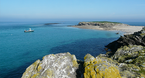 Île de Quéménès la ferme Iroise Finistère Brest Conquet Bretagne Ouessant Molène Hôtel Hébergement Tourisme Chambres et Table d'hôtes Vacances Week-end Séjour Mer Nature Agriculture Biologique Bien-être Découverte Conservatoire du littoral Autonomie Solaire Éolienne Moutons