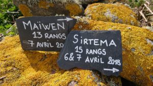 Île de Quéménès la ferme Iroise Finistère Brest Conquet Bretagne Ouessant Molène Hôtel Hébergement Tourisme Chambres et Table d'hôtes Vacances Week-end Séjour Mer Nature Agriculture Biologique Bien-être Découverte Conservatoire du littoral Autonomie Solaire Éolienne Moutons