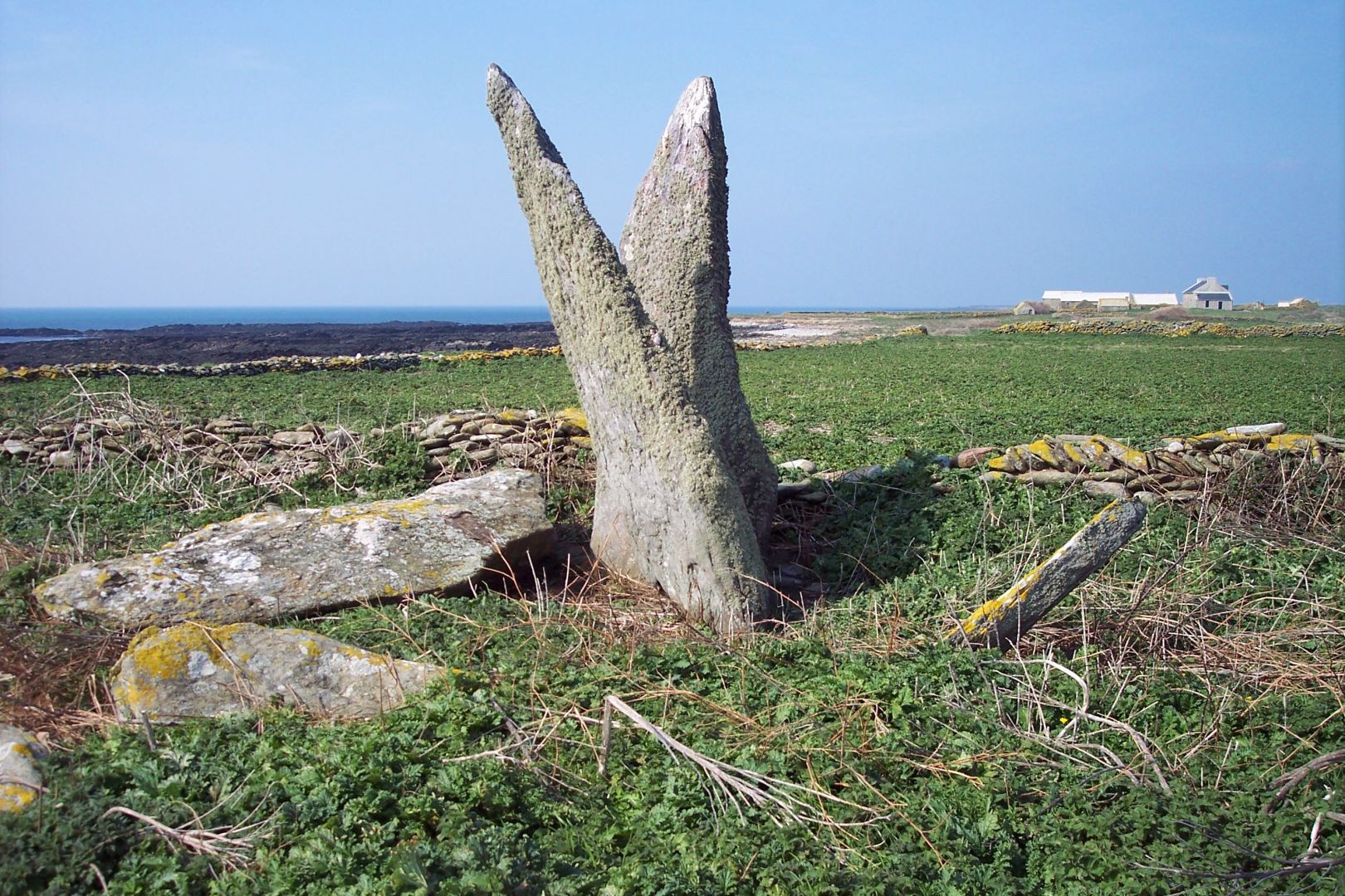 Île de Quéménès Ferme Iroise Finistère Brest Conquet Bretagne Ouessant Molène Hôtel Hébergement Tourisme Chambres et Table d'hôtes Vacances Week-end Séjour Mer Nature Agriculture Biologique Bien-être Découverte Conservatoire du littoral Autonomie Solaire Éolienne Moutons Pierres Noires Litiri Triélen