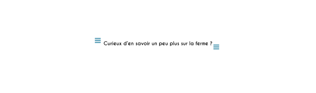 Île de Quéménès Ferme Iroise Finistère Brest Conquet Bretagne Ouessant Molène Hôtel Hébergement Tourisme Chambres et Table d'hôtes Vacances Week-end Séjour Mer Nature Agriculture Biologique Bien-être Découverte Conservatoire du littoral Autonomie Solaire Éolienne Moutons Pierres Noires Litiri Triélen