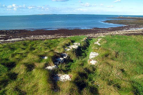 Île de Quéménès Ferme Iroise Finistère Brest Conquet Bretagne Ouessant Molène Hôtel Hébergement Tourisme Chambres et Table d'hôtes Vacances Week-end Séjour Mer Nature Agriculture Biologique Bien-être Découverte Conservatoire du littoral Autonomie Solaire Éolienne Moutons Pierres Noires Litiri Triélen