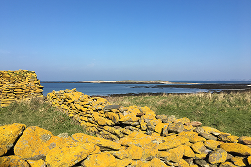 Île de Quéménès Ferme Iroise Finistère Brest Conquet Bretagne Ouessant Molène Hôtel Hébergement Tourisme Chambres et Table d'hôtes Vacances Week-end Séjour Mer Nature Agriculture Biologique Bien-être Découverte Conservatoire du littoral Autonomie Solaire Éolienne Moutons Pierres Noires Litiri Triélen